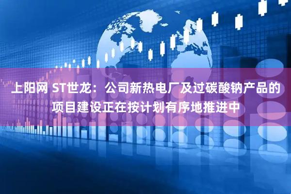 上阳网 ST世龙：公司新热电厂及过碳酸钠产品的项目建设正在按计划有序地推进中