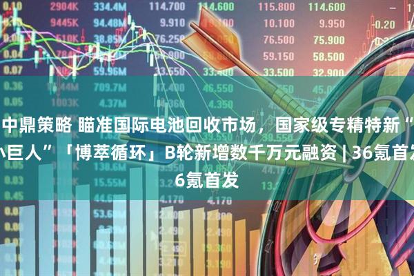 中鼎策略 瞄准国际电池回收市场，国家级专精特新“小巨人”「博萃循环」B轮新增数千万元融资 | 36氪首发