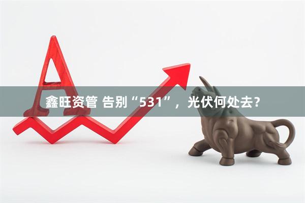 鑫旺资管 告别“531”，光伏何处去？