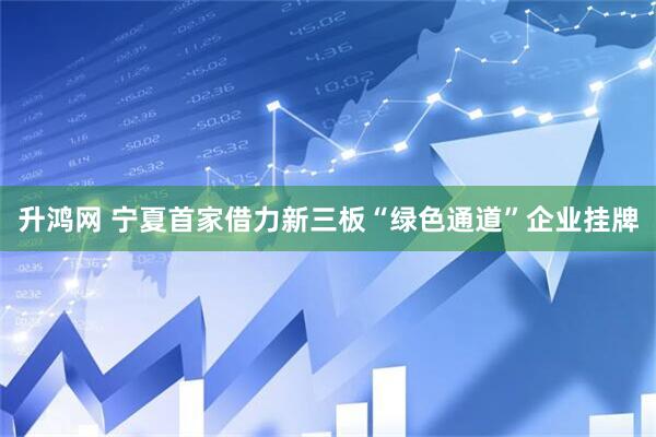 升鸿网 宁夏首家借力新三板“绿色通道”企业挂牌