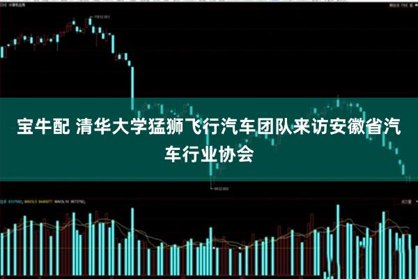 宝牛配 清华大学猛狮飞行汽车团队来访安徽省汽车行业协会