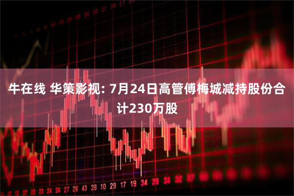 牛在线 华策影视: 7月24日高管傅梅城减持股份合计230万股