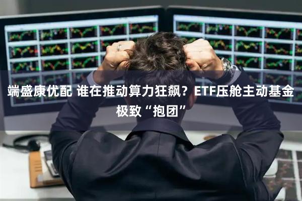 端盛康优配 谁在推动算力狂飙？ETF压舱主动基金极致“抱团”