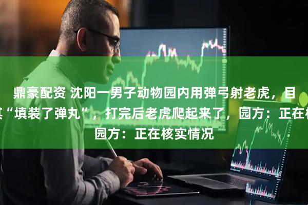 鼎豪配资 沈阳一男子动物园内用弹弓射老虎，目击者称其“填装了弹丸”，打完后老虎爬起来了，园方：正在核实情况