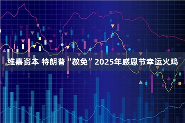 维嘉资本 特朗普“赦免”2025年感恩节幸运火鸡