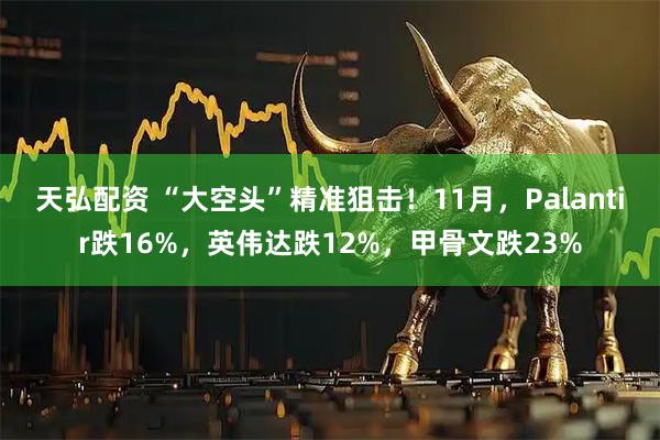 天弘配资 “大空头”精准狙击！11月，Palantir跌16%，英伟达跌12%，甲骨文跌23%