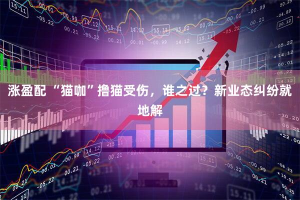 涨盈配 “猫咖”撸猫受伤，谁之过？新业态纠纷就地解