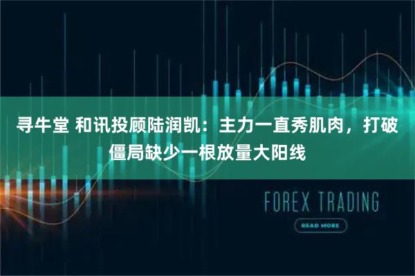 寻牛堂 和讯投顾陆润凯：主力一直秀肌肉，打破僵局缺少一根放量大阳线