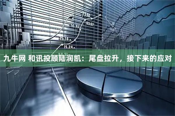 九牛网 和讯投顾陆润凯：尾盘拉升，接下来的应对