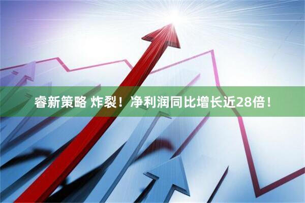 睿新策略 炸裂！净利润同比增长近28倍！