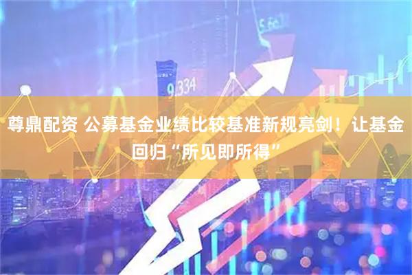 尊鼎配资 公募基金业绩比较基准新规亮剑！让基金回归“所见即所得”