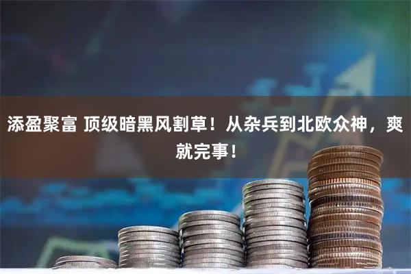 添盈聚富 顶级暗黑风割草！从杂兵到北欧众神，爽就完事！
