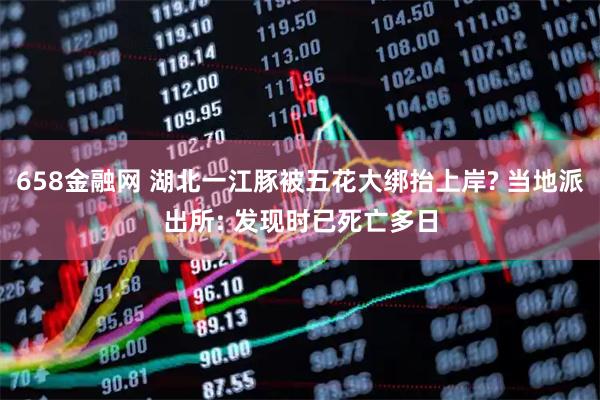 658金融网 湖北一江豚被五花大绑抬上岸? 当地派出所: 发现时已死亡多日