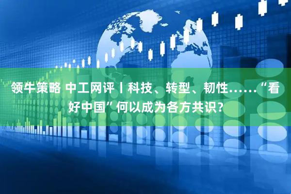 领牛策略 中工网评丨科技、转型、韧性……“看好中国”何以成为各方共识？