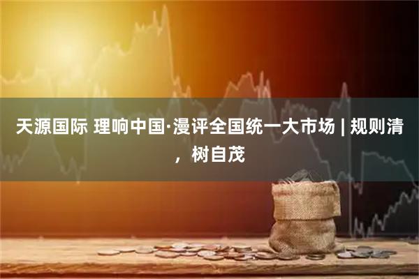 天源国际 理响中国·漫评全国统一大市场 | 规则清，树自茂